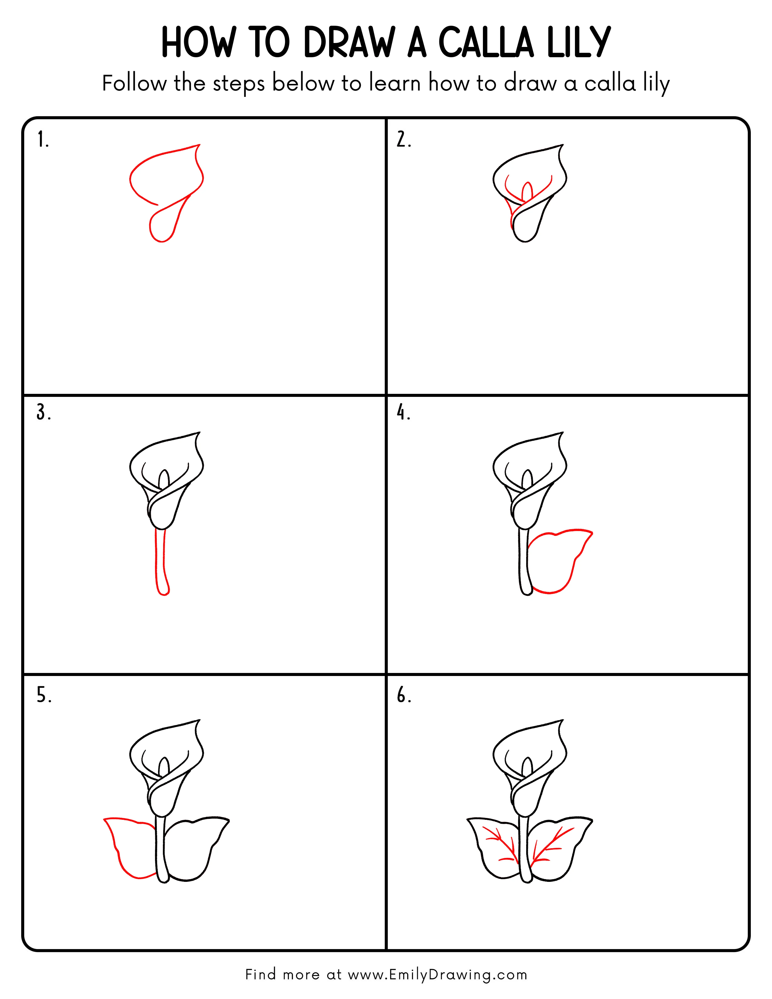 Printable Calla Lily Drawing Guide